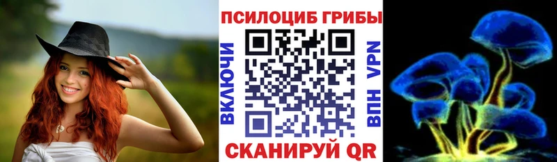 Псилоцибиновые грибы GOLDEN TEACHER  купить   Новозыбков 
